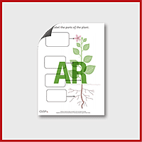 zY1 Science (Plants - Trees) Label the parts of a plant AR_3