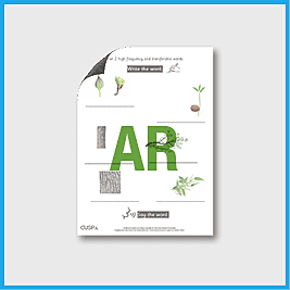 zY1 Science **RUNOVER ** (Plants - Trees) High Frequency Transferable Words AR