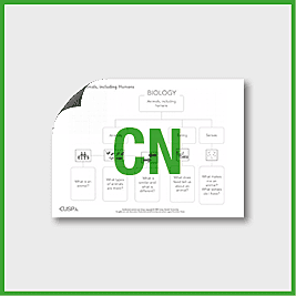 Y1 Science (Revisit: Animals, including Humans) Curriculum Navigator CN