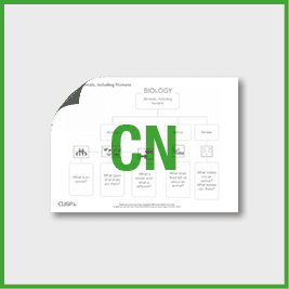 Y1 Science (Revisit: Animals, including Humans) Curriculum Navigator CN