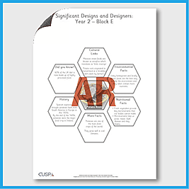 zY2 DT E (Food and Nutrition) AR1 Significant Designers Hexagon Connections