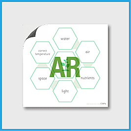 zY2 Science (Plants) AR3 A Plant Needs…