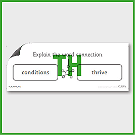 zY3 Science (Plants) Pre-Filled Thinking Hard 1