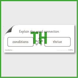 zY3 Science (Plants) Pre-Filled Thinking Hard 1