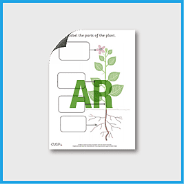 zY3 Science **RUNOVER** (Plants) Label the Parts of a Plant AR