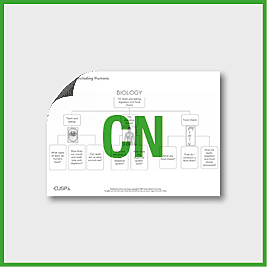 Y4 Science (Animals, Including Humans) Curriculum Navigator CN