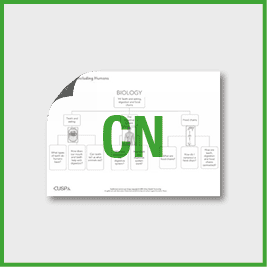 Y4 Science (Animals, Including Humans) Curriculum Navigator CN