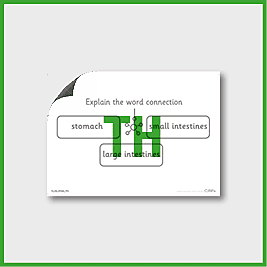 zY4 Science (Animals, including Humans) Pre-Filled Thinking Hard 2