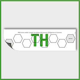 zY4 Science (Animals, including Humans) Pre-Filled Thinking Hard 3