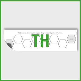 zY4 Science (Animals, including Humans) Pre-Filled Thinking Hard 3