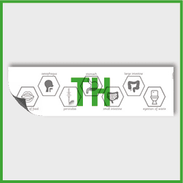 zY4 Science (Animals, including Humans) Pre-Filled Thinking Hard 4