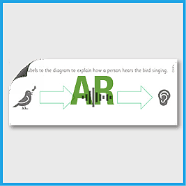 zY4 Science (Sound) AR The Journey of Sound