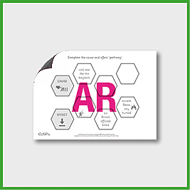 zY5 History (Benin) Cause and Effect Path