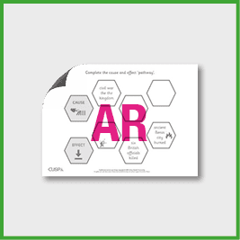 zY5 History (Benin) Cause and Effect Path