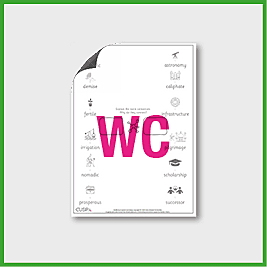 Y5 History (Compare a Non European Society to British History - Golden Age of Islam) Word Connections WC