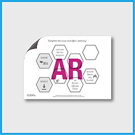 zY5 History **RUNOVER** (Benin) Cause and Effect Path AR