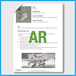 zY5 Science (2nd Revisit Living…) AR2 8x Animal Information Sheets