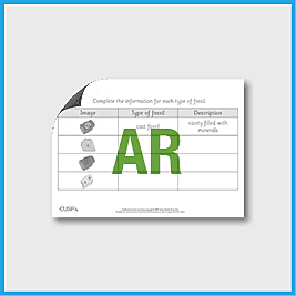 zY6 Science (Evolution…) Types of Fossil AR