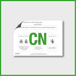 Y6 Science (Animals, Including Humans - Water Transport) Curriculum Navigator CN