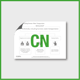 Y6 Science (Animals, Including Humans - Water Transport) Curriculum Navigator CN