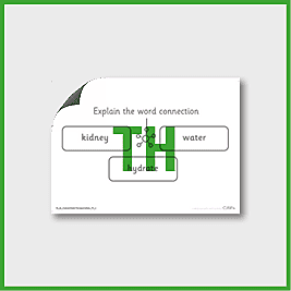 zY6 Science (...Water Transport) Pre-Filled Thinking Hard