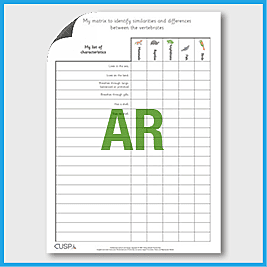 zY6 Science (Living Things…) Vertebrates - Matrix of Similarities and Differences AR