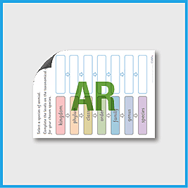 zY6 Science (Living Things…) AR6 Blank Taxonomical Graphic