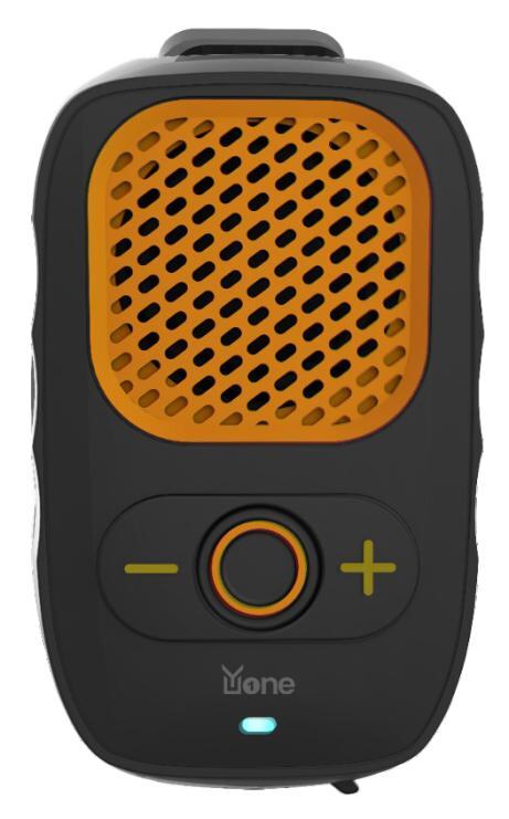 Portable Speaker