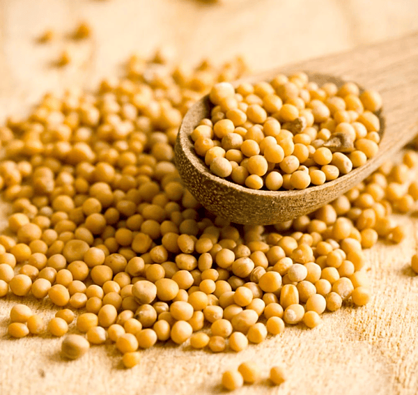 Yellow Mustard Seeds