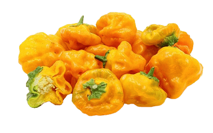 Yellow Bell Pepper