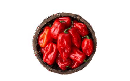 Habanero RZ Red ​(Very Hot Pepper)