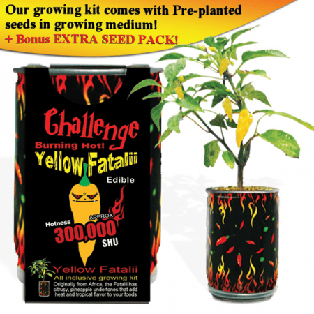 Orange Fatalii Growing Kit