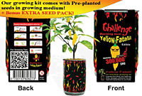 Orange Fatalii Growing Kit