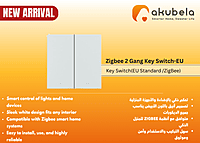 Zigbee 2 Gang Key Switch-EU - White