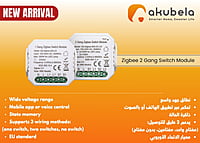 Zigbee 2 Gang Switch Module