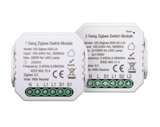 Zigbee 2 Gang Switch Module