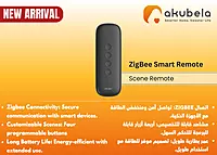 ZigBee Smart Remote