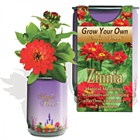 Zinnia Elegant Flower Growing Kit