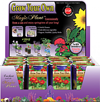 Zinnia Elegant Flower Growing Kit