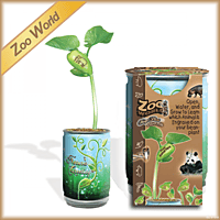 Zoo World Growing Kit Magic Plant Treasures