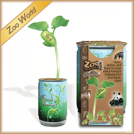 Zoo World Growing Kit Magic Plant Treasures