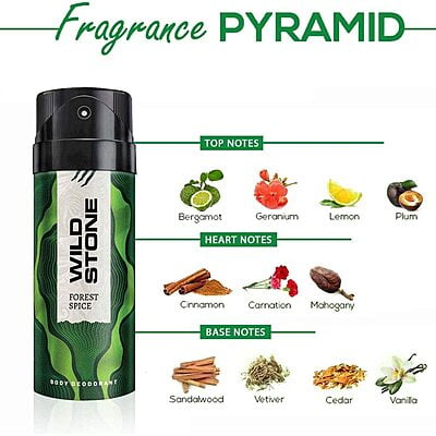 Wild Stone Deo Forest Spice 150Ml