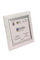 SHARDA UNIVERSITY PLAQUES TROPHY