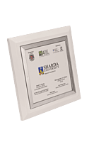 SHARDA UNIVERSITY PLAQUES TROPHY