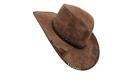 Ostrich Patched Hat