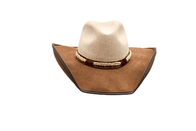 Lone Star CowBoy Hat