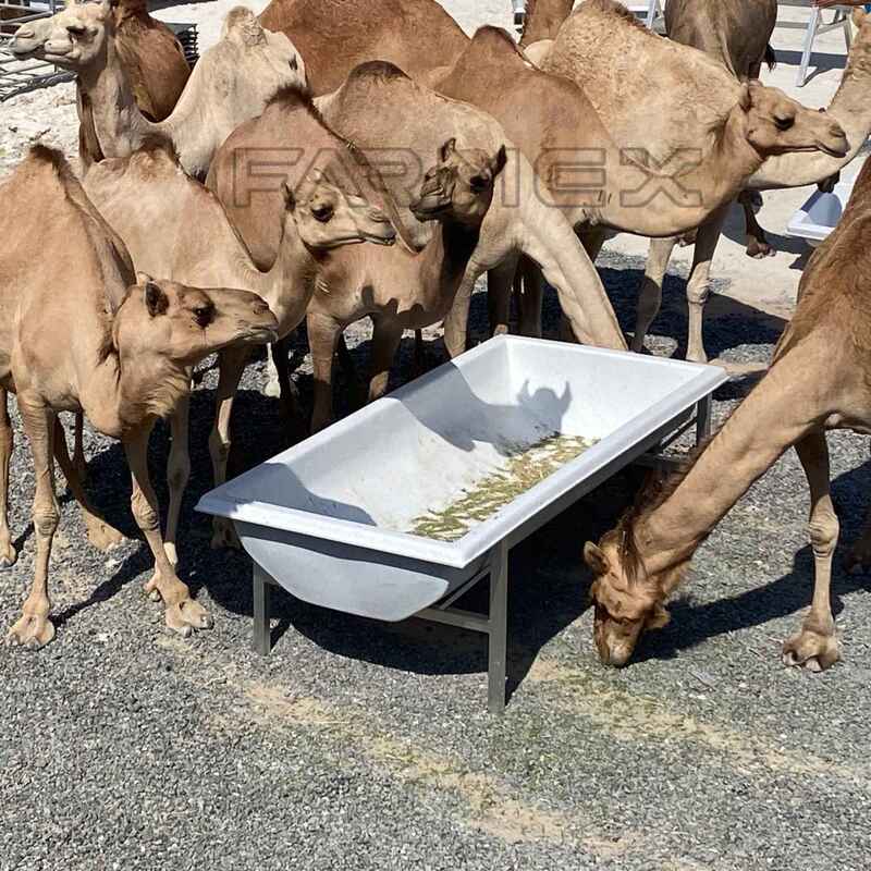 Farmex Trough 750 Liter for Camel