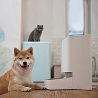 BHR6143EU Xiaomi Smart Pet Food Feeder EU