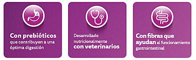Whiskas - Whiskas Whiskas alimento para Gatos Adultos Sabor Carne Receta Orginal 9Kg Violeta Whiskas - Whiskas Whiskas alimento para Gatos Adultos Sabor Carne Receta Orginal 9Kg Violeta