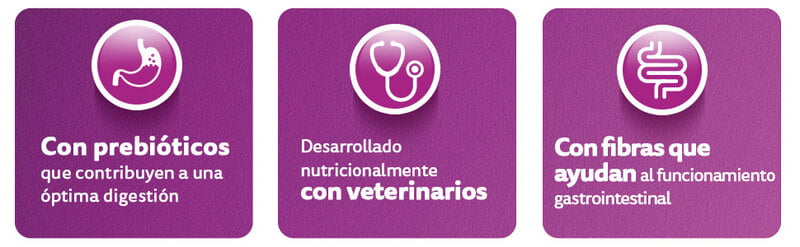 Whiskas - Whiskas Whiskas alimento para Gatos Adultos Sabor Carne Receta Orginal 9Kg Violeta
